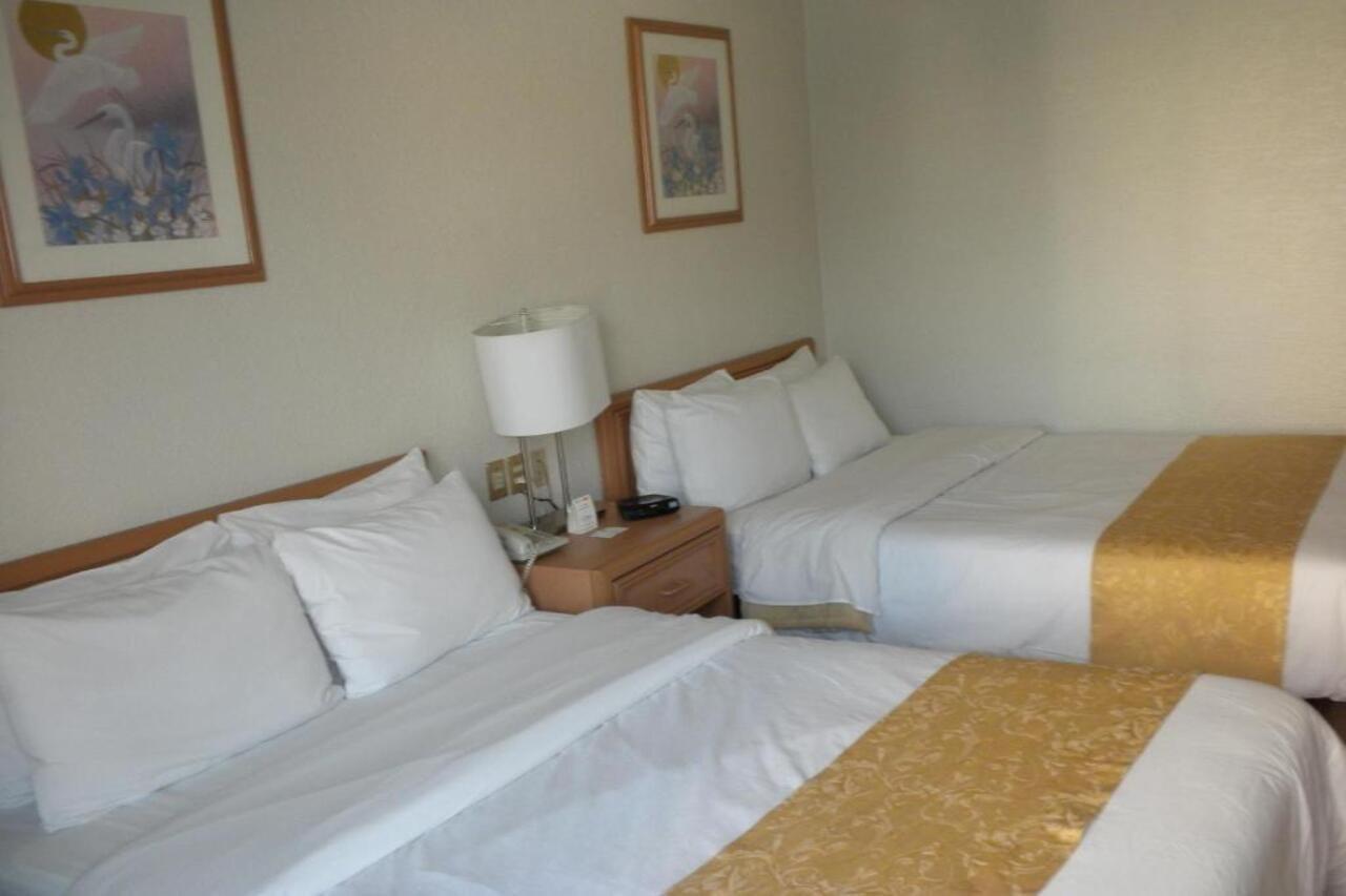Hotel Pf Kota Meksiko Bagian luar foto