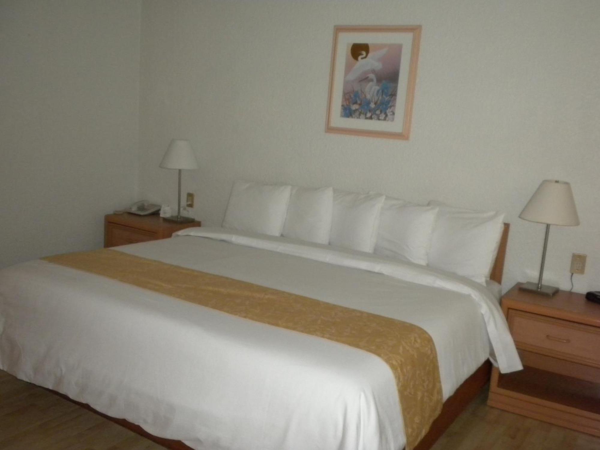 Hotel Pf Kota Meksiko Bagian luar foto